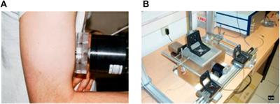 Anisotropy in ultrasound shear wave elastography: An add-on to muscles characterization